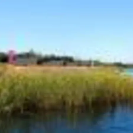 Holiday See- Und Waldresort Am Groberner See - Dls01011-fya *